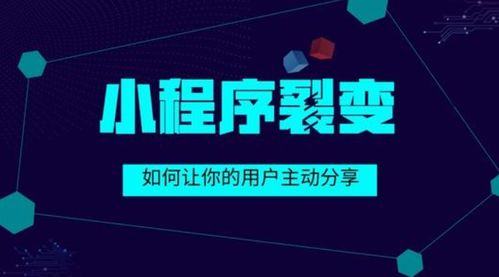 企業(yè)為何要選擇定制化小程序開發(fā)？舒馨網(wǎng)絡(luò)為您解密這背后價值